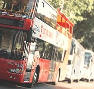 bus